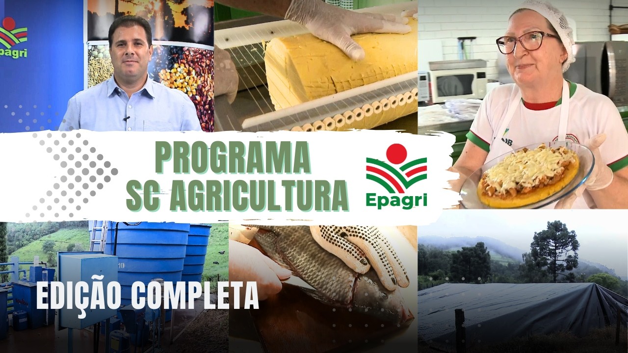 SC Agricultura Completo 15/02/2026