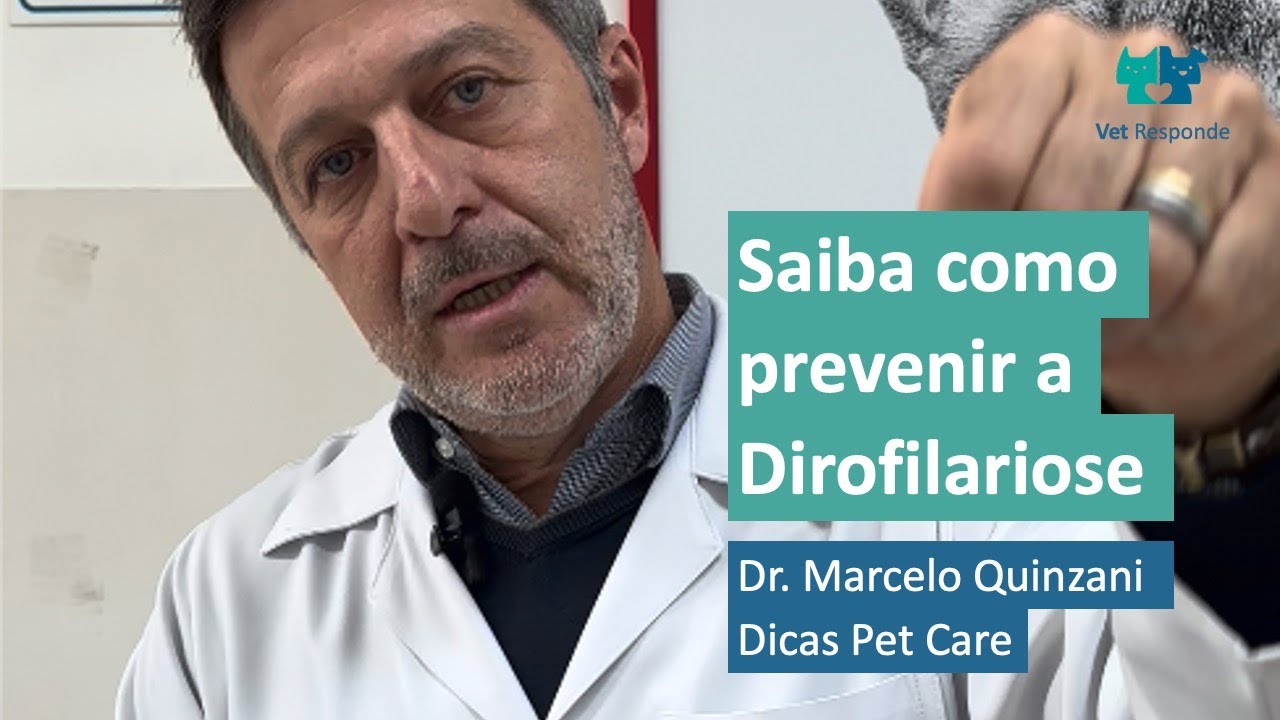 Vet Responde - Saiba como prevenir a Dirofilariose - Dr. Marcelo Quinzani