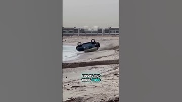 Vì Sao Đụng Nước Lại Nguy Hiểm Đến Vậy? #bancobiet #vatly #suthat #khampha #fact #độngvật #funfact