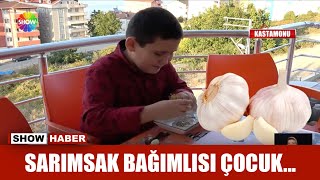 Sarımsak Bağımlısı Çocuk