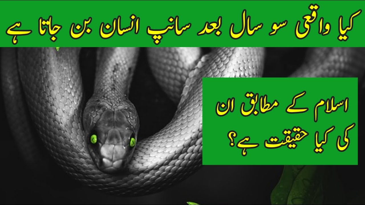 The Truth behind ichadhari Naag and Nagin according to Islam in UrduHindi  Atif Tv