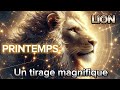 Lion   printemps 2024 un tirage magnifique 