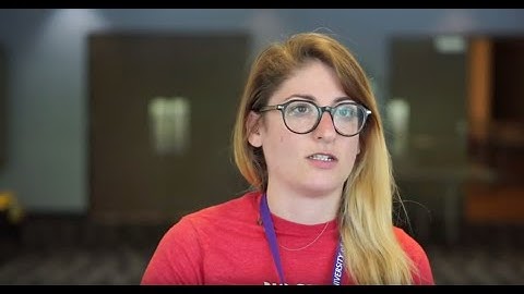 Summer Institutes Highlights 2019