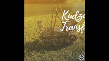 Kudzu Vines Transformed