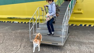 柴犬岳と行く八丈島　竹芝桟橋から東海汽船橘丸で八丈島へ