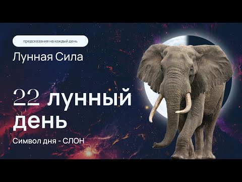 Курс "Лунная сила" - 22 лунный день. Как узнать свое будущее и исполнить мечту всей жизни? Кундалини