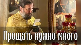 Нам нечем гордиться! Отец Андрей Ткачёв. (17.02)