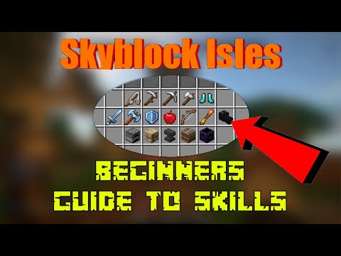 Skyblock Isles: A Beginners Guide to EVERY SKILL! (Minecraft)