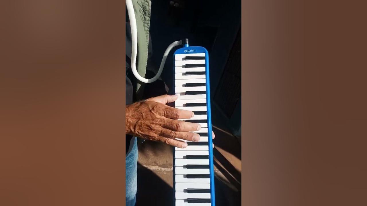 escravo de jó, na escaleta