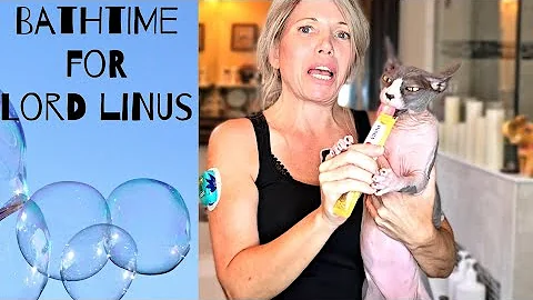 Watch the video about Lord Linus of Sphynxia