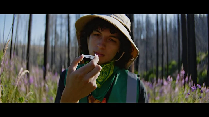 We Make You Go | University of Oregon 2024 Commercial