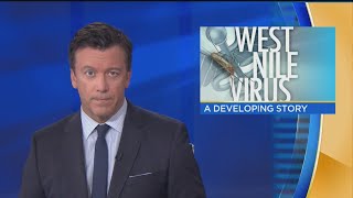 Famous Orange County Reports First Human Case Of West Nile Virus Wealth