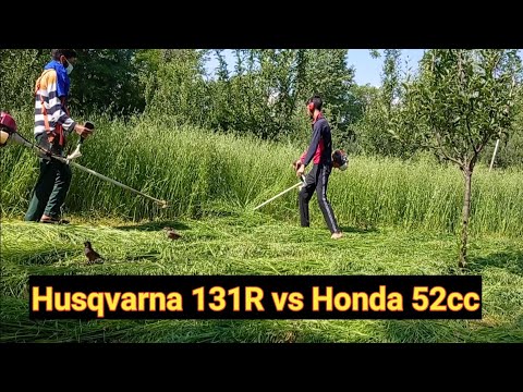 Video: „Husqvarna“žoliapjovės: Benzino Pjoviklio (krūmapjovės) Ir Elektrinio Pjoviklio Apžvalga. Alyvos Pasirinkimas Benzininėms žolės Pynėms, Naudojimo Instrukcija