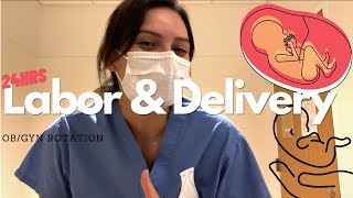 24hr Shift on Labor & Delivery (x2) | Rachel Southard