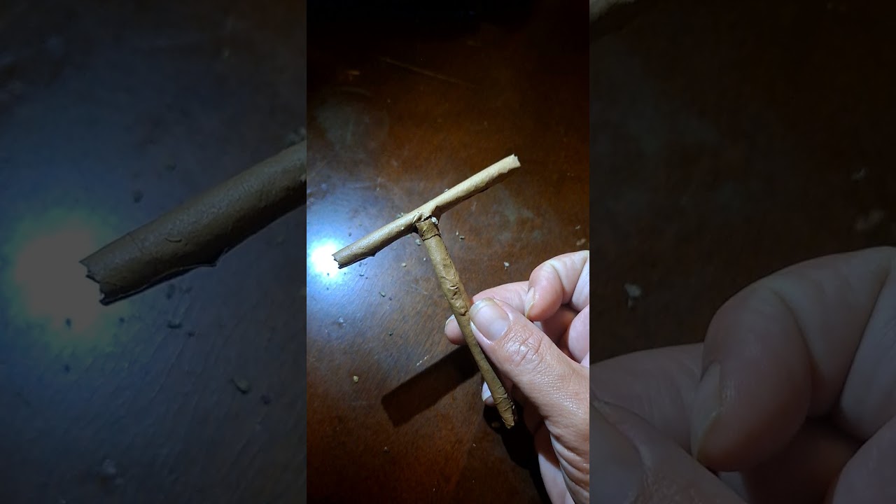 HOW TO ROLL A T BLUNT WIT RICC ROACH