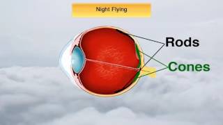 Medical Facts with All the IFR Test Questions on Them (PPV)