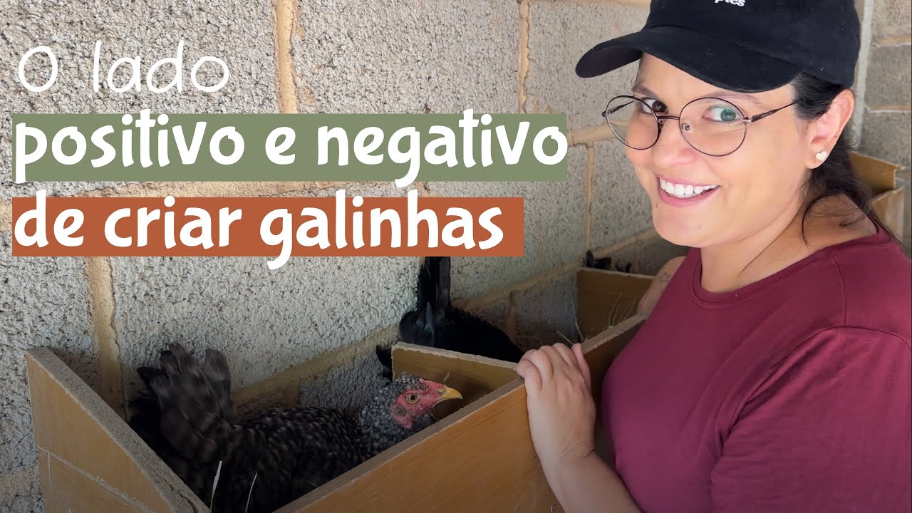 Mostrando pra vocês o lado positivo e negativo de criar galinhas 🐓 