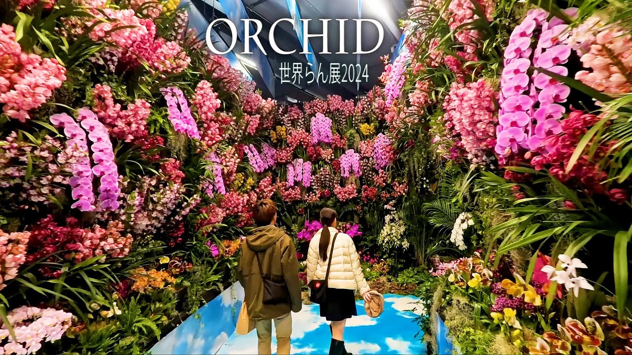 4K Orchid】 International Orchid and Flower Show 2024. #世界らん展