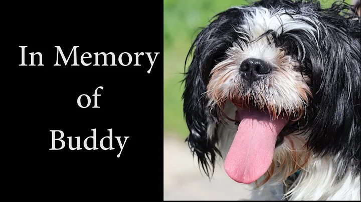 Buddy's Memorial Video