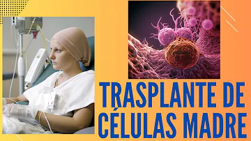 ¿Cómo funciona un trasplante de células madre?