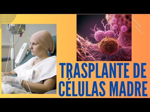 Vídeo: Trasplante De Células Madre Neurales Humanas En Modelos De Lesión De La Médula Espinal: ¿a Qué Distancia De La Aplicación Clínica?