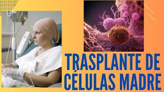 ¿Qué es el trasplante de células madre?