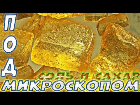 Как выглядит сахар под микроскопом