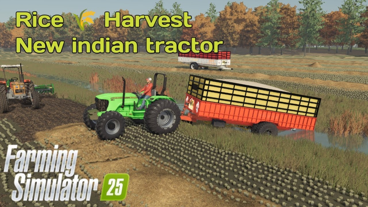 Fs22 Rice Farming RICE HARVISTING #farming #gaming #fs22 - YouTube