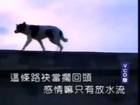 袂冻擱回头-伴奏 版本