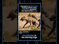 Survival is a high-stakes strategy where every maneuver protects the heart of the troop
