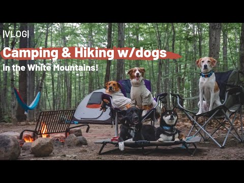 Camping & Hiking w/Dogs in the White Mountains |VLOG