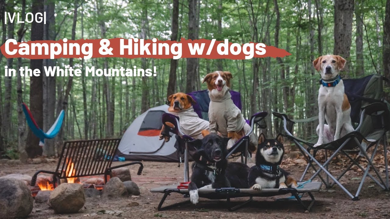 Camping & Hiking w/Dogs in the White Mountains VLOG YouTube