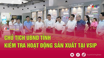 Chủ tịch UBND tỉnh kiểm tra hoạt động sản xuất tại VSIP