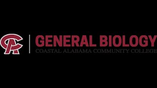 BIO 103, Ch28 Protists