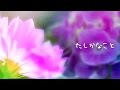 ♫ たしかなこと／小田和正　Instrumental
