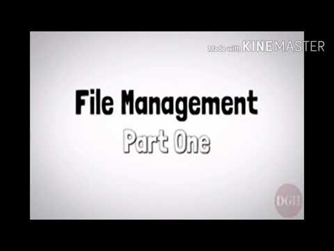 Class 6th: Information Technology: File Management