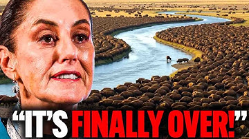 Mexico Released Bisons Into the Desert and a Decade Later Something Unimaginable Happened