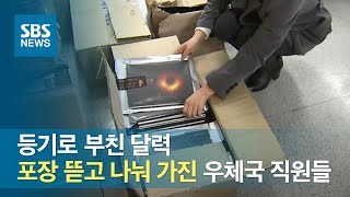 등기로 부친 달력…포장 뜯고 나눠 가진 우체국 직원들 / SBS