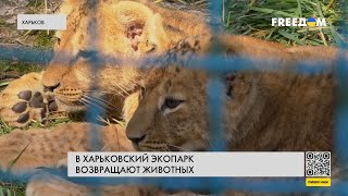 🔥 В Харьковский экопарк вернули из эвакуации треть животных