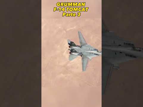 GRUMMAN F-14A TOMCAT - EL PROBLEMA DEL TOMCAT