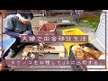 【夫婦で田舎移住生活】タケノコを収穫してJAに出荷する。| 山開拓 | タケノコ掘り | 竹藪 | 裏山 | 筍 | 田舎暮らしDIY | 空き家セルフリノベーション | 宮崎 | えびの