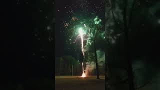 Very First Backyard Fireworks Show - NEW YEAR’S EVE 2017