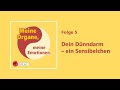 Dein Dünndarm – Ein Sensibelchen – Freistunde Podcast: Meine Organe, meine Emotionen – Folge 5