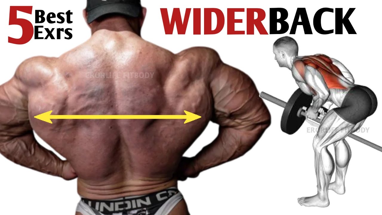 5 Most Effective Gym Back Workout ERORLIFE FITBODY YouTube