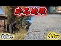【ホームレス夫婦廃墟を買う#7】20トンの砕石地獄｜庭の整地をして未来への基礎作り