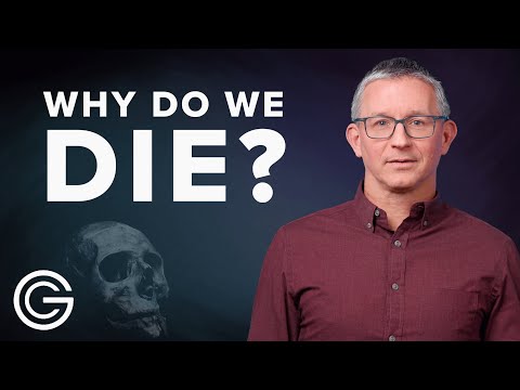 Видео: Нигүүлсэл оргил үед үхдэг үү?