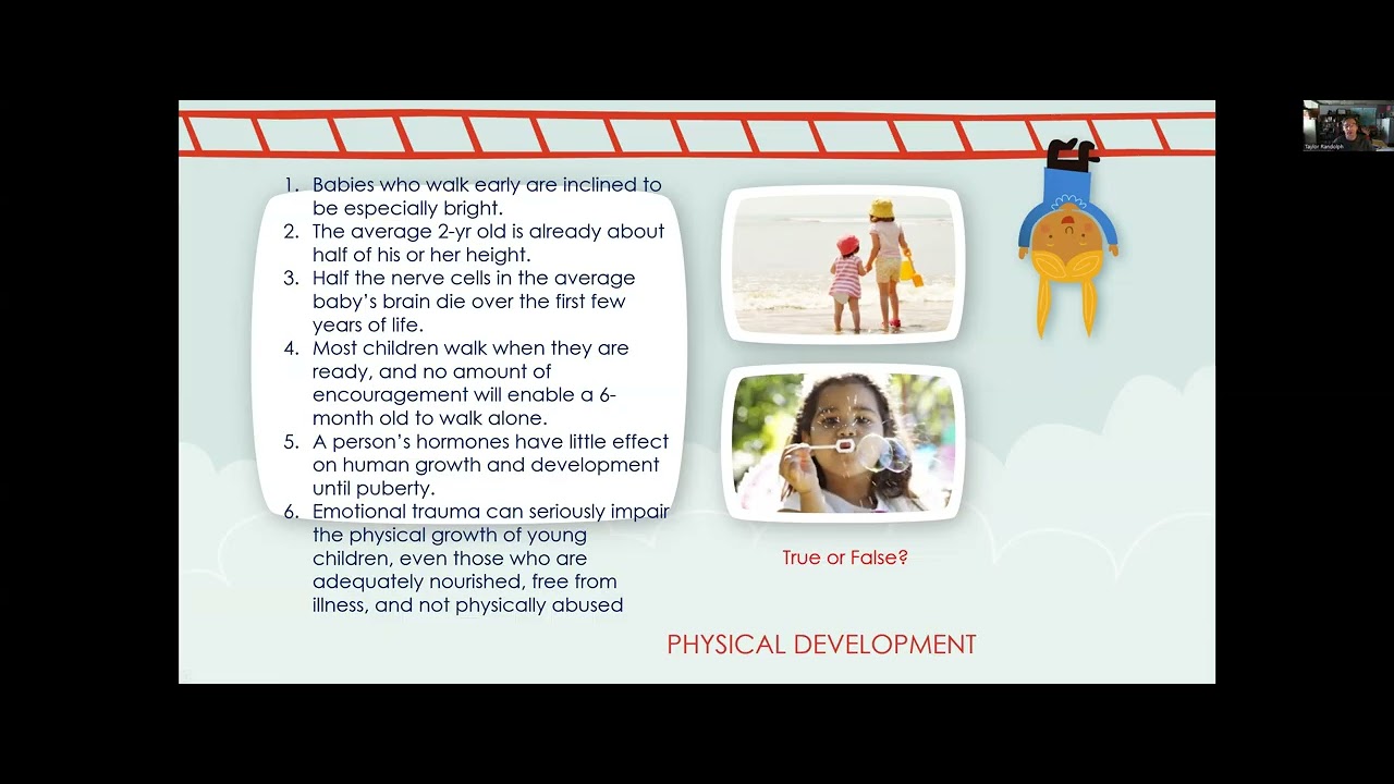 Early Brain Development Part 2 - YouTube