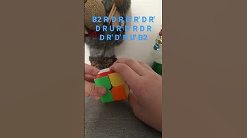 How To Make A Cool Pattern With a 2x2 Rubik