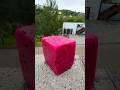 You've been cutting your dragonfruit wrong#shorts #science #experiment #funny #reels