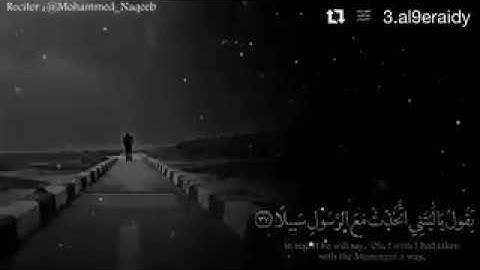 تلاوة رائعة لما تيسر من سورة الفرقان ، بصوت القاريء محمد النقيب